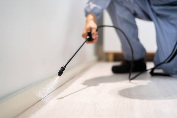 Licensed Pest Control service in Council Bluffs, IA - Show Me Pest Control