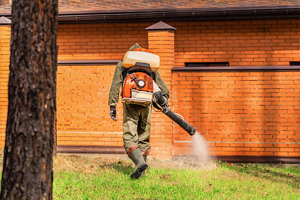 Bed Bug Clearance Verification and Documentation in Council Bluffs